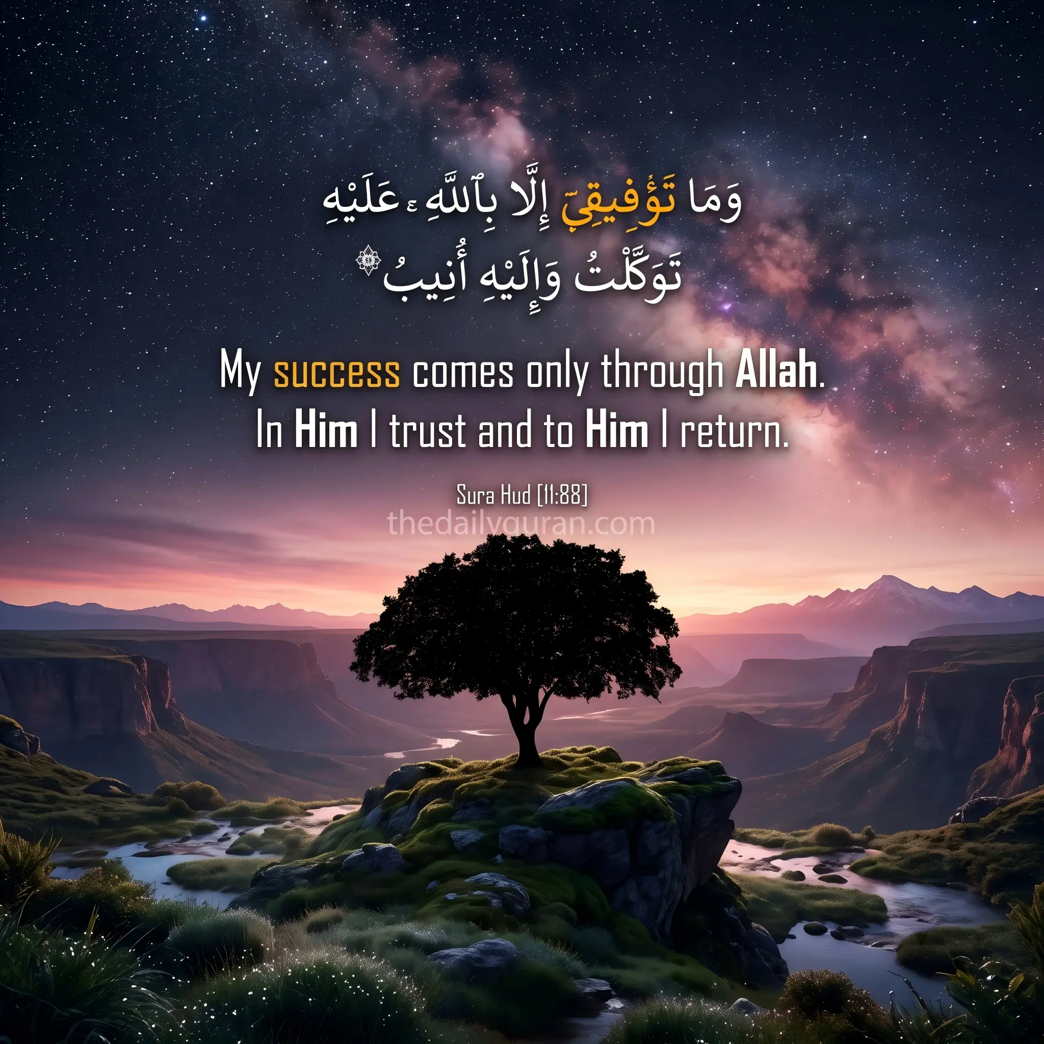 Paradise & Reward